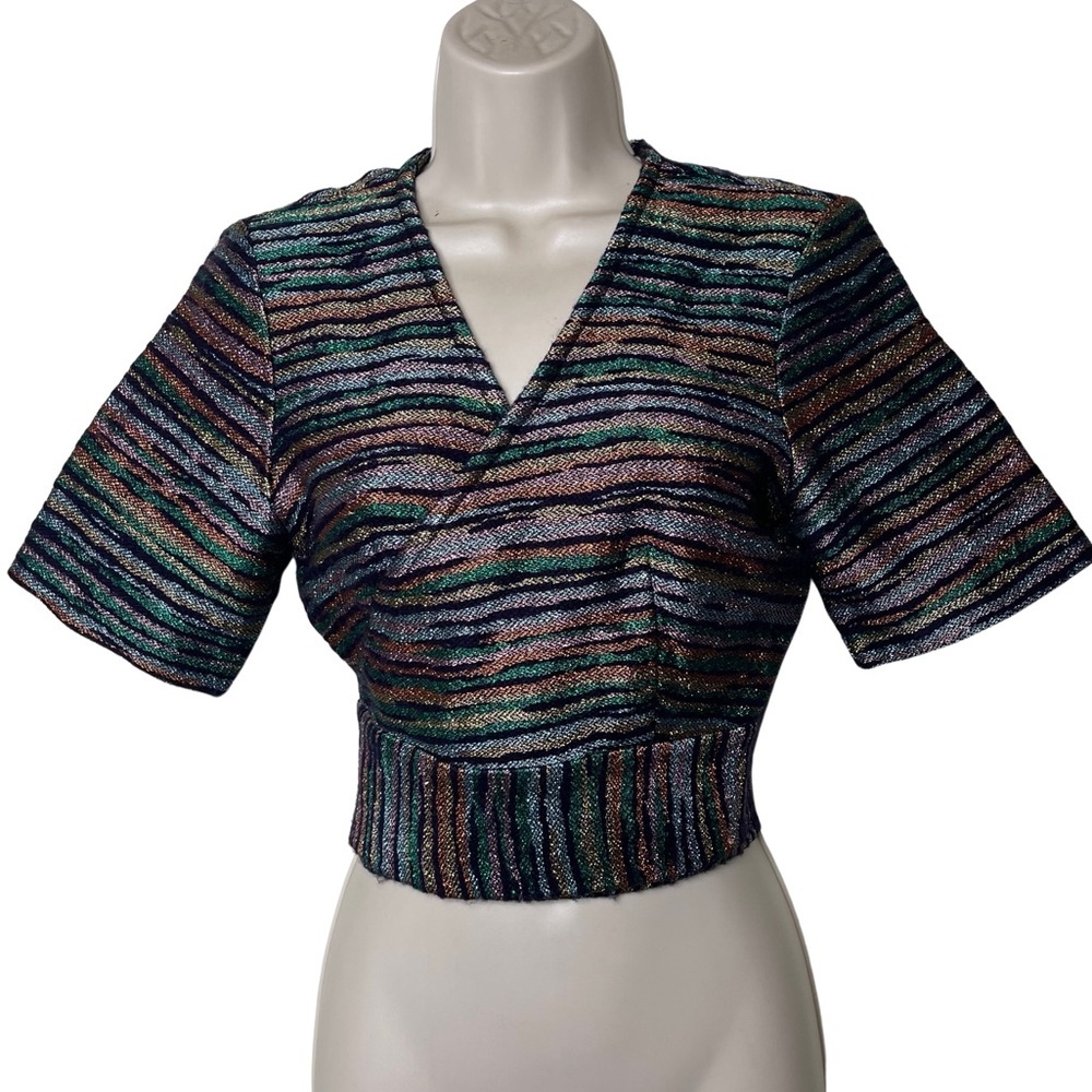 Tucker Metallic Multi-Color Stripe Cropped Blouse
